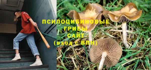 гидропоника Абдулино