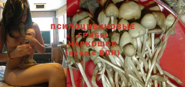 гидропоника Абдулино