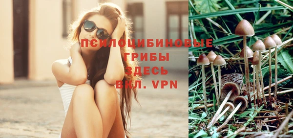 гидропоника Абдулино
