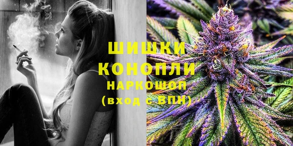 индика Пересвет