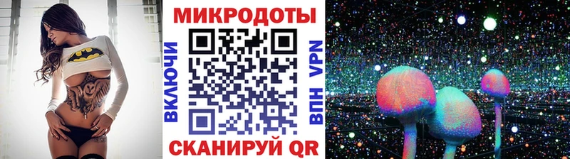 Галлюциногенные грибы Psilocybine cubensis Ялуторовск